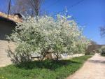 vakantiehuis platteland